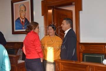 Pleno ordinario de enero de 2020 (Foto TA)